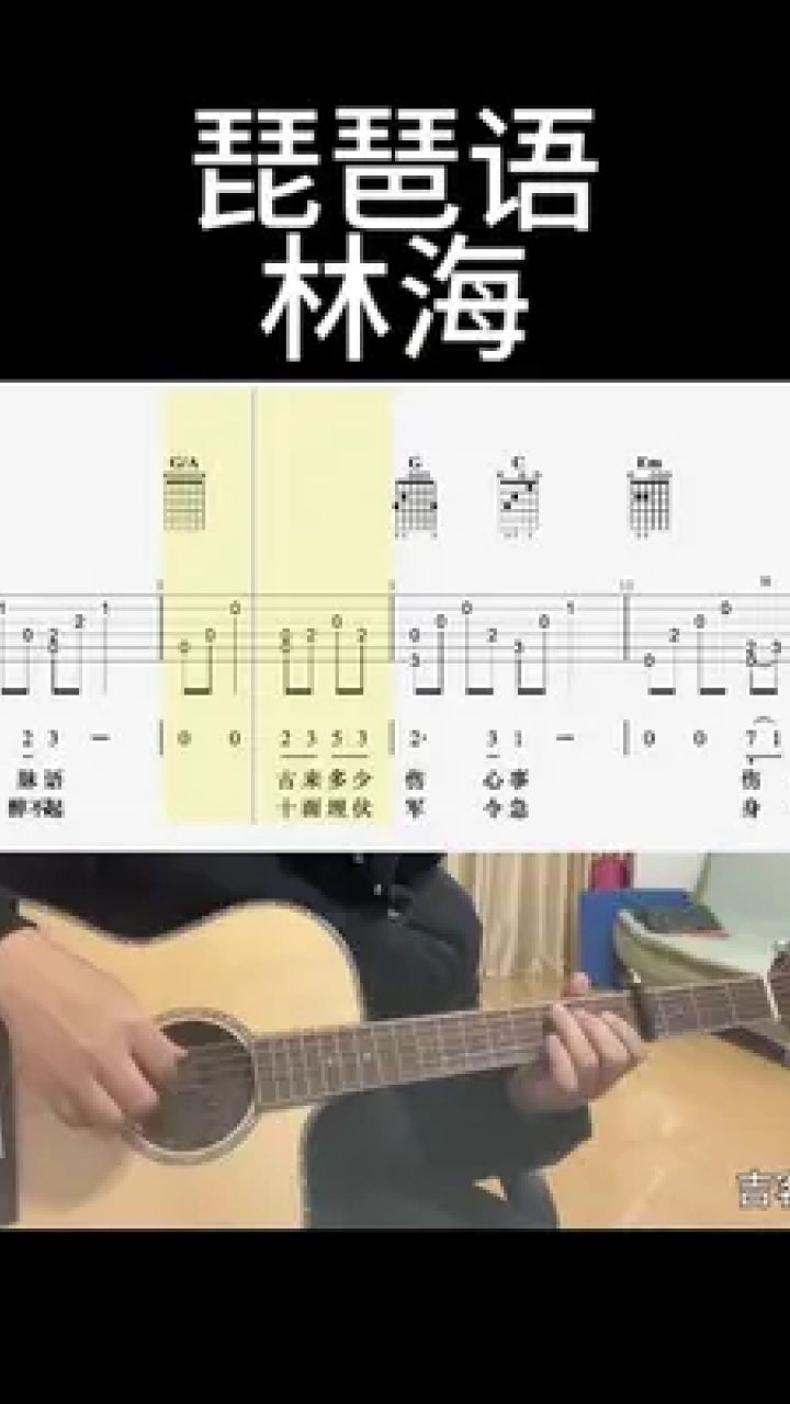 琵琶语吉他教学图片
