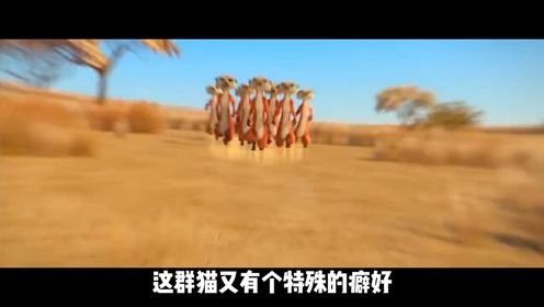这么好看的动画大家看过吗_动漫_高清完整版视频在线观看_腾讯视频