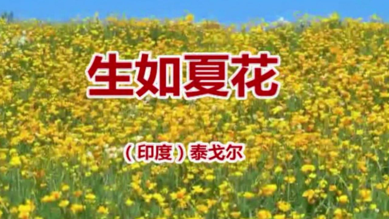 朗读者生如夏花张家敏图片