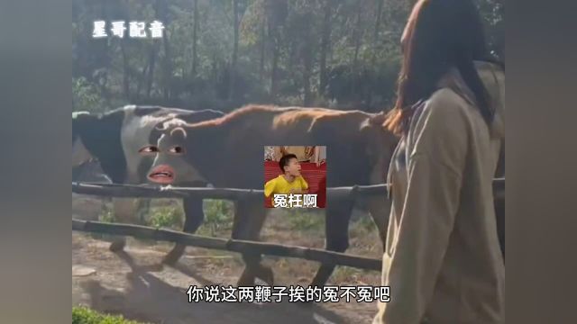 牛:吃你家草了啊?