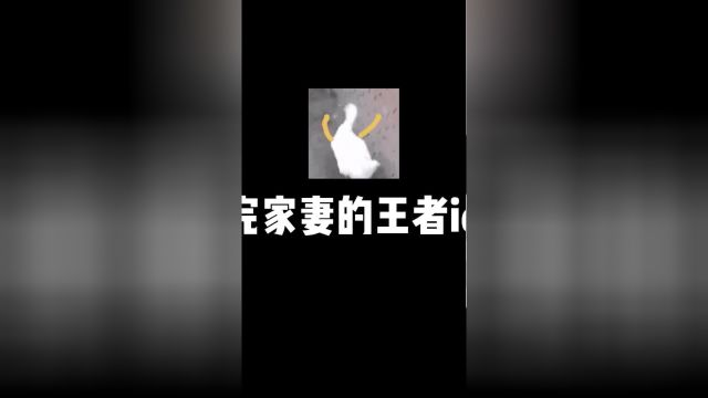 “学习着她爱我的样子来爱她”