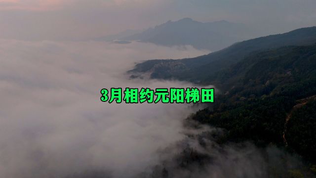 3月相约云南红河元阳梯田这里是大地的调色盘