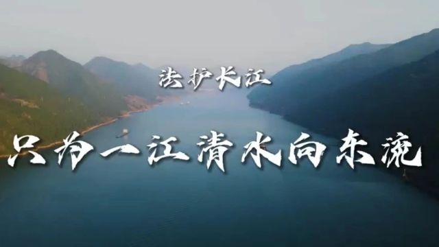 法护长江系列报道(二)| 溯源治污扬清波