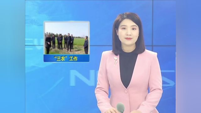 副省长彭勇调研我市小龙虾产业链和春季农业生产情况