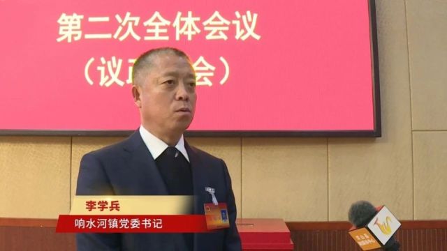 “向春天奋进”系列访谈丨专访 响水河镇党委书记 李学兵