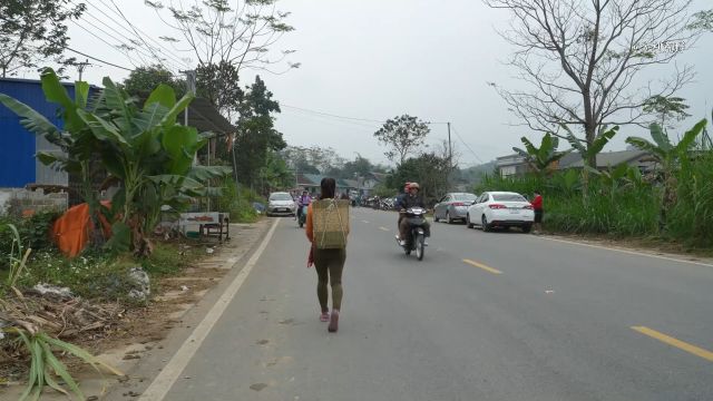 梦玲在苹果园采摘甜苹果 把苹果带到两周未开放的花鸟市场 #田园生活 #农村生活.