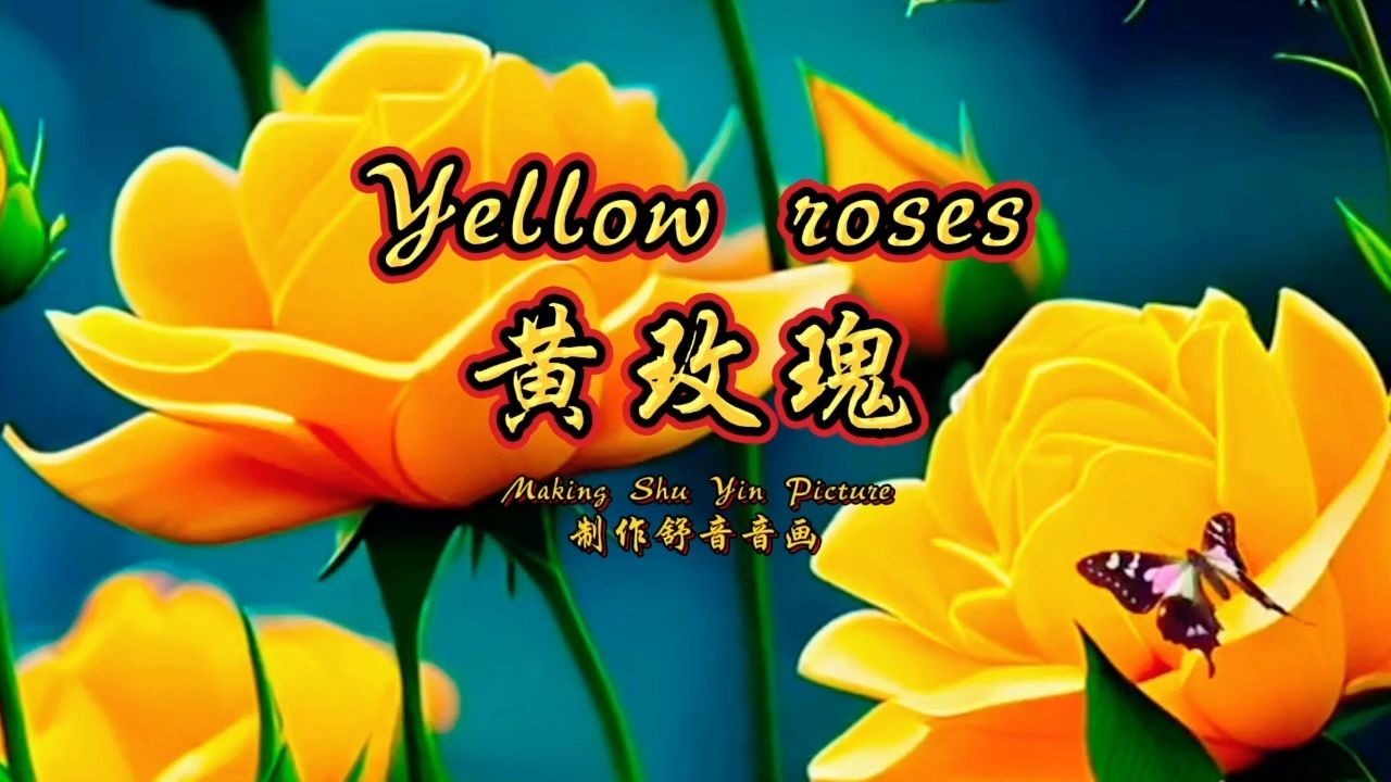 黄玫瑰歌曲原唱(黄玫瑰歌曲原唱孙露)