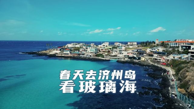 春天去济州岛看玻璃海,这个免签海岛往返机票才700多#旅行#韩国