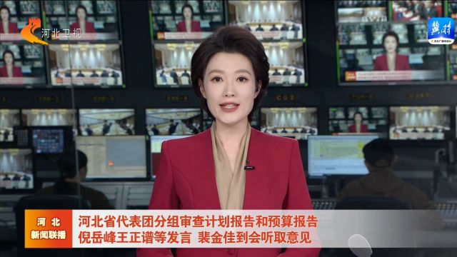 河北省代表团分组审查计划报告和预算报告