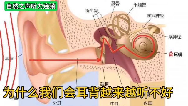 关爱听力健康