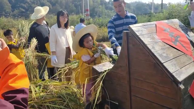 白箬铺镇:白鹤山下箬竹飘香 三色融合助力振兴