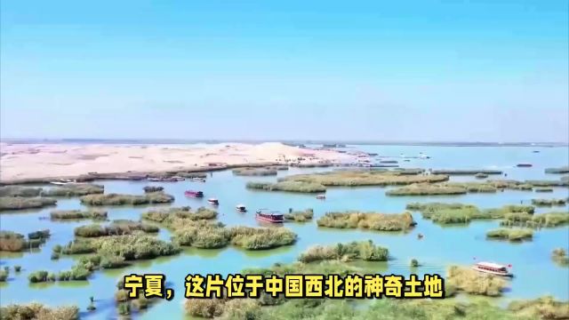 宁夏自驾游:探索塞外美景,体验独特文化