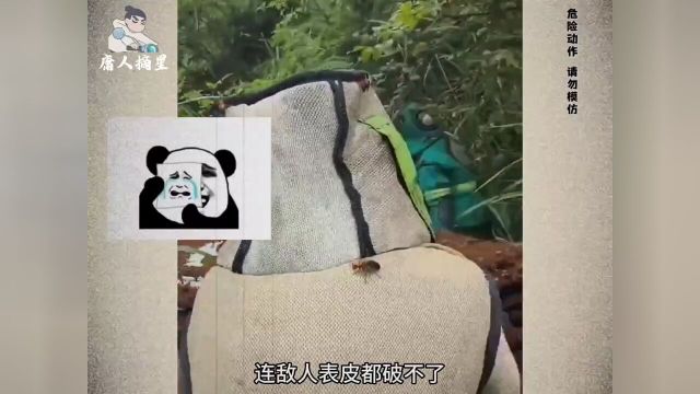 这又是另一部电影:曾经辉煌的王国