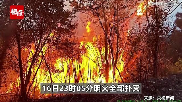 云南临沧临翔区山火已扑灭,3人扑火过程中身亡