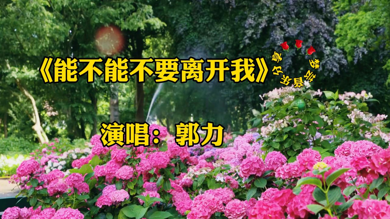 一首《能不能不要离开我》郭力唱的好听,伤感好听,催人泪下,听哭了