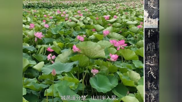 唐诗朗诵《岘山怀古》唐 陈子昂 书法 欧阳询《黄浦诞碑》