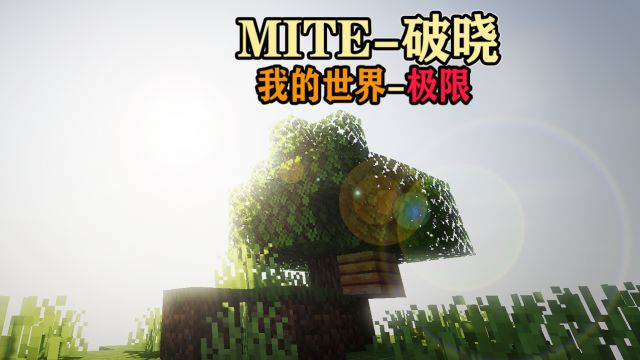 MITE破晓!极限模式的生存【我的世界】