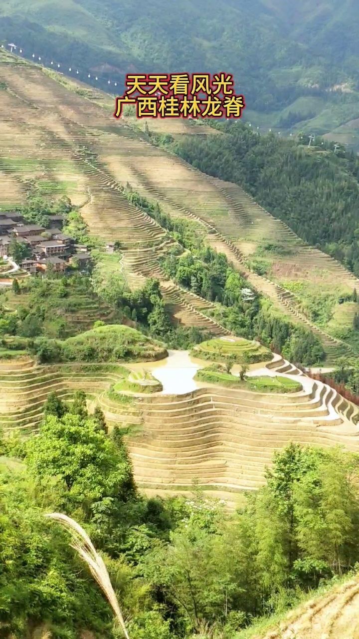 广西最美梯田,桂林桂林龙脊梯田.#乡村旅游景点 #梯田