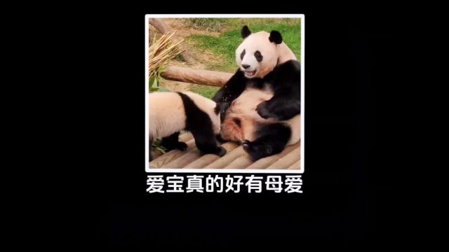 爱宝对孩子的爱都表现在细节里~