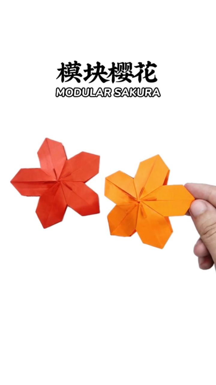 【樱花折纸】樱花将灿,冬尽风暖.