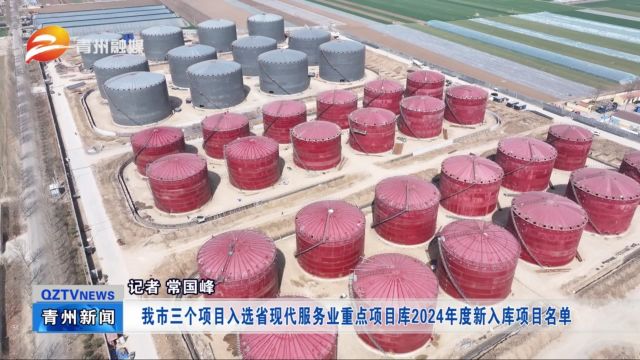 青州市三个项目入选省现代服务业重点项目库2024年度新入库项目名单