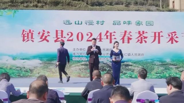 远山慢村,百里争夕阳春至,品味象园,千家茶乡迎客来,2024年镇安“象园茶”第三届开采节,更多精彩内容,请关注抖音号搜索长安木落.欢迎大家来感...