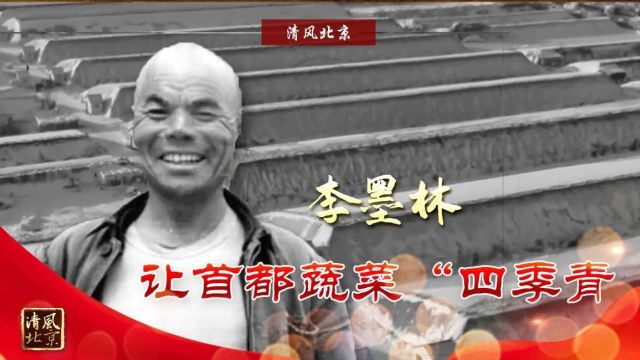 党史中的清廉故事|李墨林:让首都蔬菜“四季青”