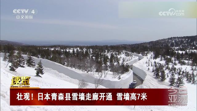 壮观!日本青森县雪墙走廊开通 雪墙高7米