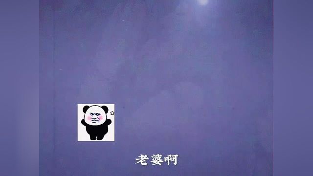 饺子奶奶亲口包的