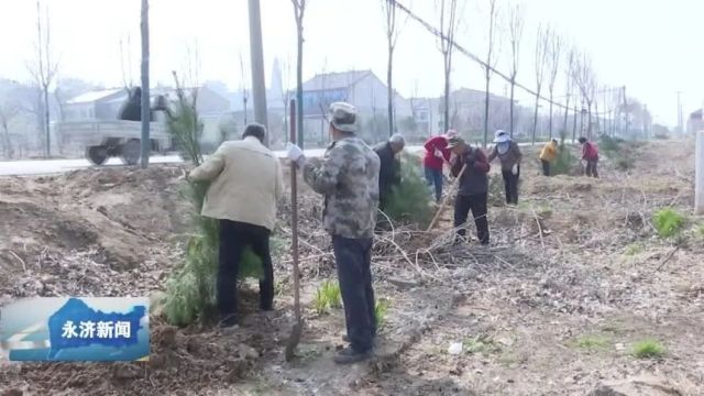 【从春天出发】蒲州镇:植树添绿增风采 人居环境增活力