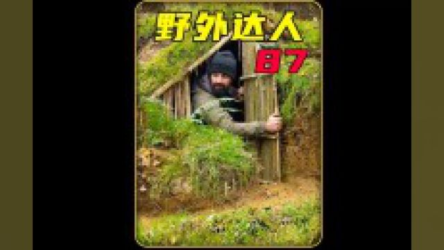 外网2个亿播放的庇护所有多好看野外建造野外露营