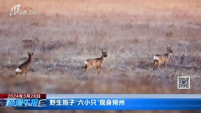 【新闻连连看】山西:出台指导意见鼓励国企招录自主就业退役士兵;让低空经济在山西“飞起来”……