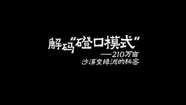 解码“磴口模式”——210万亩沙漠变绿洲的秘密(来源:内蒙古日报)