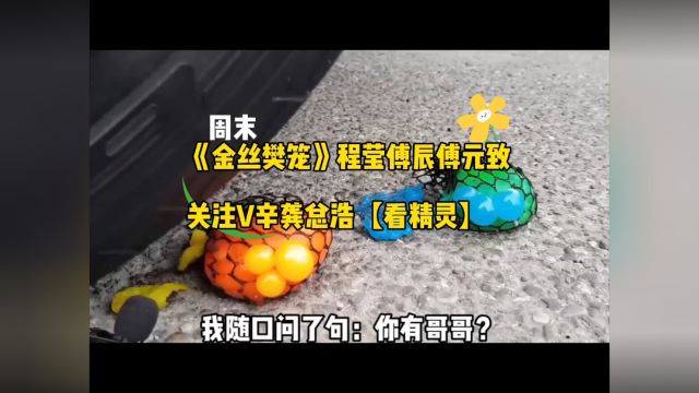 热门资源《金丝樊笼》程莹傅辰傅元致(金丝樊笼小说)完结篇