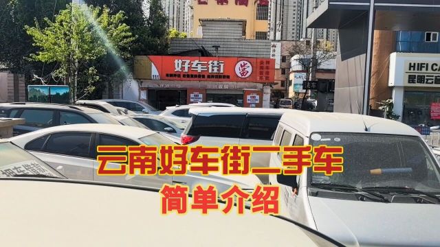 这视频先给大家介绍一下云南好车街二手车经纪有限公司的大概情况,后续的视频,我将给大家分享与二手车动产质押、评估寄卖保管、昆明押车套路等相关...