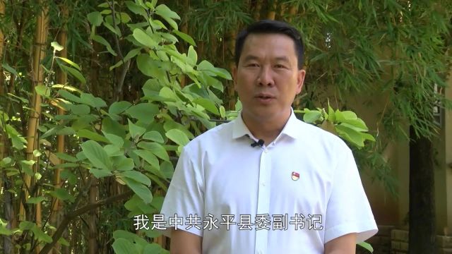 大理景区又添“新玩意”,守护游客大健康