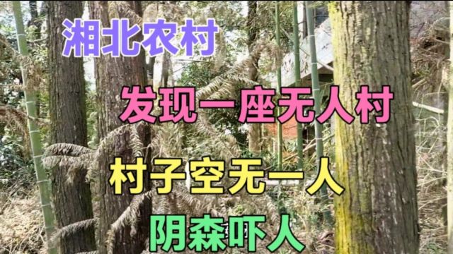 湘北大山里,发现一座无人村,村子空无一人,白天都阴森,很吓人