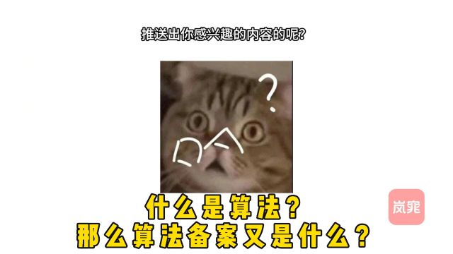 什么是算法?那么算法备案又是什么?