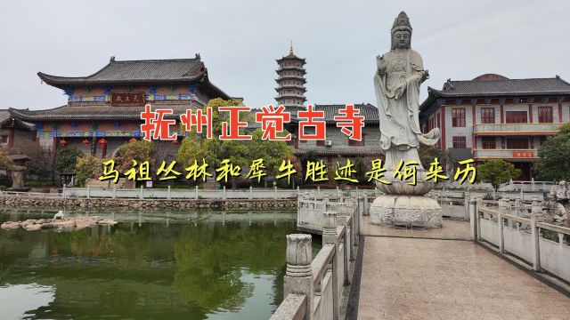 抚州正觉古寺,马祖丛林和犀牛胜迹是何来历?