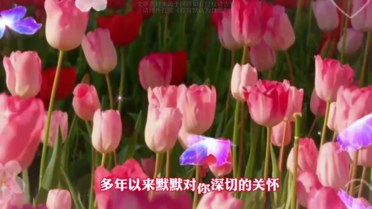 远方的你,是我永恒的思念