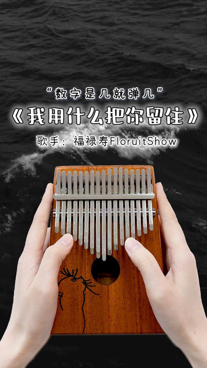 想不想看燕子归来" 《我用什么把你留住》卡林巴拇指琴演奏