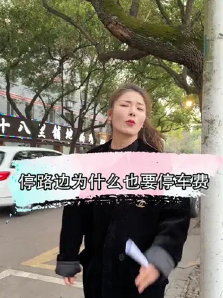 为什么车停路边要收费呀#爽爽的汽车生活 #停车