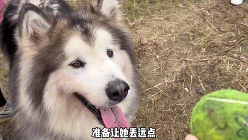 丢脸丢到家了