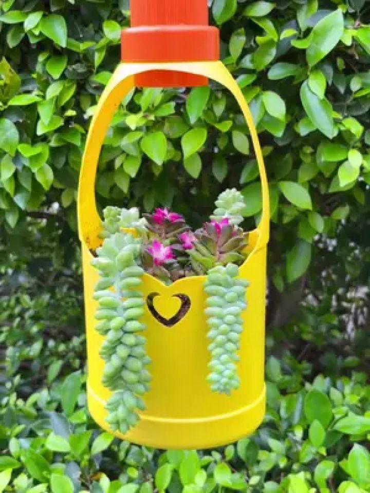 塑料瓶变废为宝做简易吊蓝花盆#手工 #自制花盆 #变废为宝