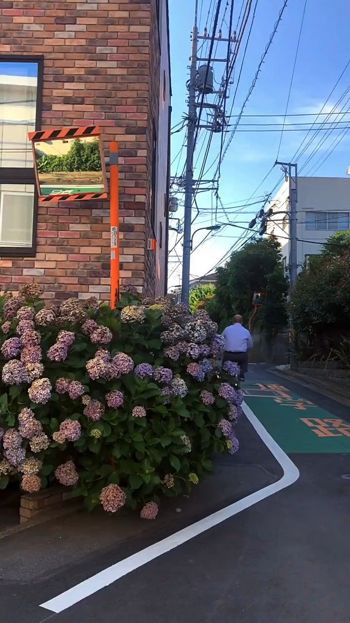 最喜欢这样黄昏的街道,静谧而美好