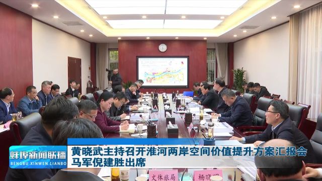 黄晓武主持召开淮河两岸空间价值提升方案汇报会 马军倪建胜出席