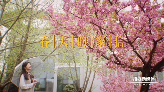 春天的家信|春和景明,万物可爱!