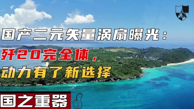 国产二元矢量涡扇曝光:歼20完全体,动力有了新选择