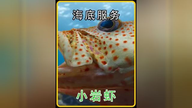 顶级的海底清洁服务 #海底世界 #海洋生物