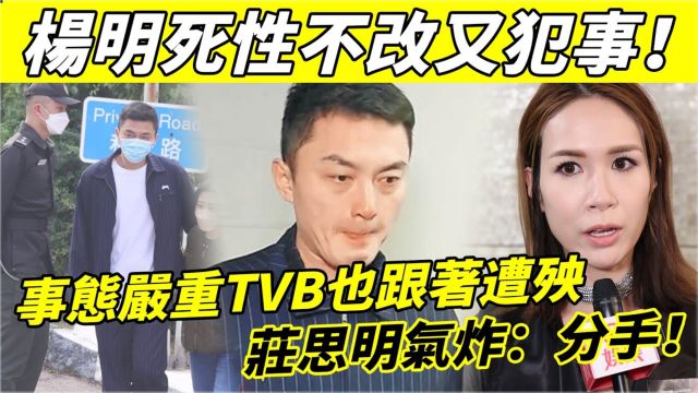 杨明死性不改又犯事! 这次不只是坐牢这么简单,TVB也跟着遭殃,忍无可忍将其一夜封杀,庄思明气炸:分手!